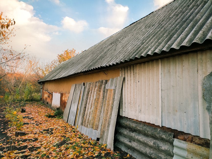 Adelaide asbestos cement roof on pre-1985 home — typical condition for risk assessment