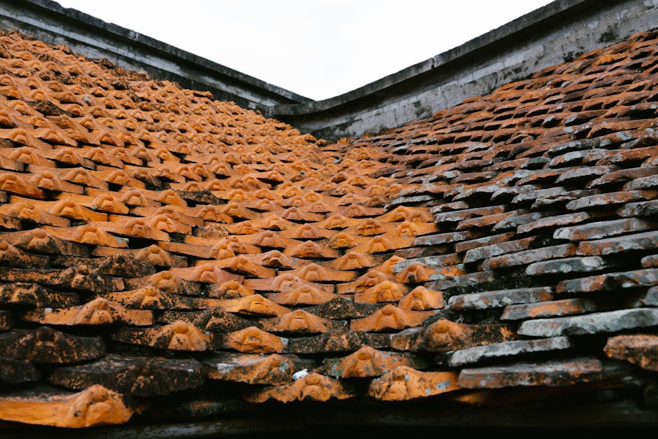 Adelaide tile roof being stripped to bare battens before Colorbond installation
