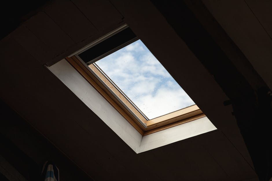 Adelaide ceiling stain near wall — typical roof leak indicator above the ridge line