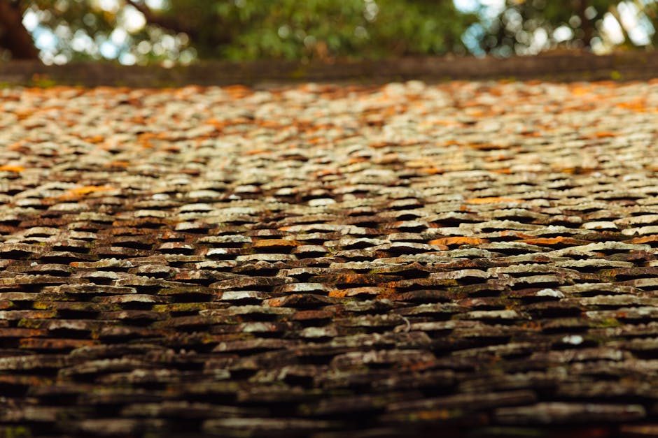 Adelaide tile roof at the restore-vs-replace decision point — visible weathering but structurally sound