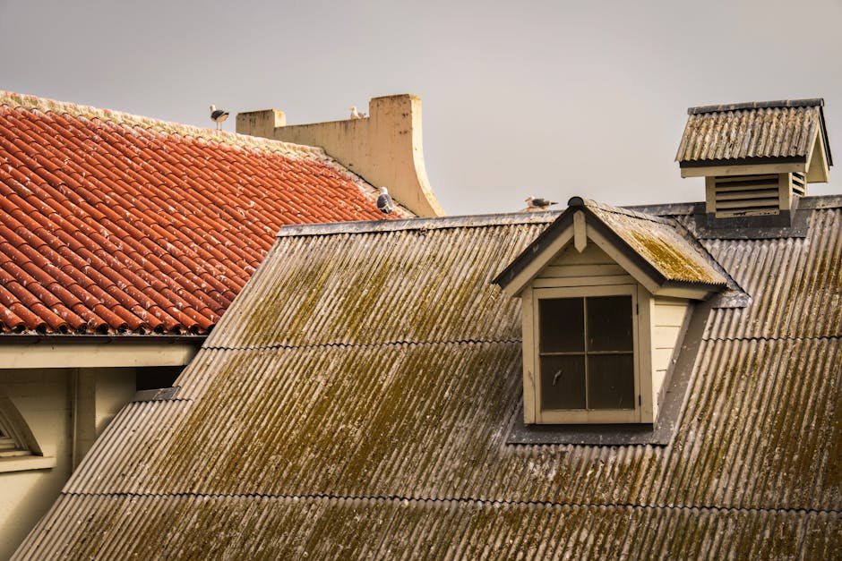 Adelaide street with mix of metal Colorbond and terracotta tile roofs